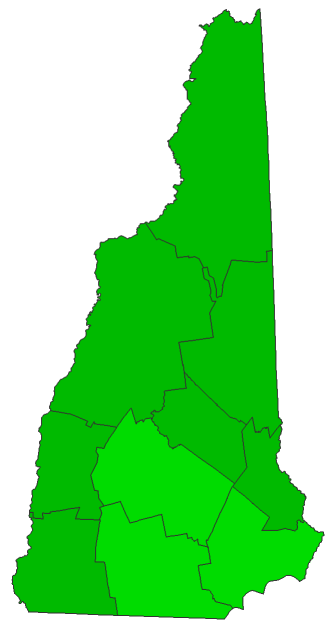 2016 Presidential Democratic Primary - New Hampshire Election County Map