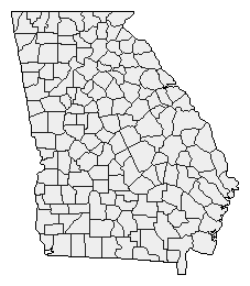 1992 Georgia County Map of Democratic Primary Election Results for President