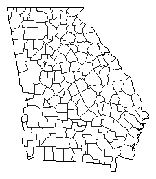1938 Georgia County Map of Democratic Primary Election Results for Senator