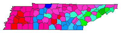 2012 Tennessee County Map of Democratic Primary Election Results for Senator