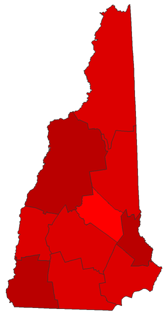 2020 Senatorial General Election - New Hampshire Election County Map