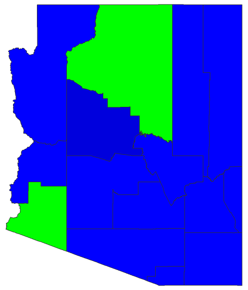 2020 Presidential Democratic Primary - Arizona Election County Map