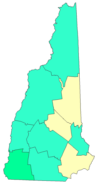 2020 Presidential Democratic Primary - New Hampshire Election County Map