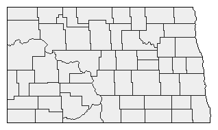 2020 North Dakota County Map of Democratic Primary Election Results for President