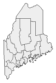 1992 Maine County Map of Democratic Primary Election Results for President