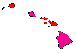 1994 Hawaii County Map of General Election Results for Governor