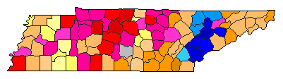 2008 Tennessee County Map of Democratic Primary Election Results for Senator