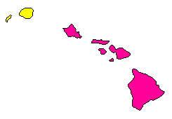 2010 Hawaii County Map of Democratic Primary Election Results for Lt. Governor
