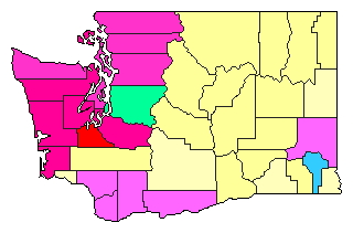 2020 Washington County Map of Open Runoff Election Results for Lt. Governor