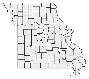 2024 Missouri County Map of Republican Primary Election Results for President